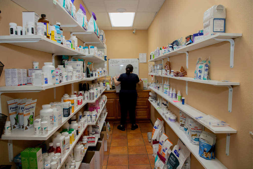 dog sitting in pharmacy store